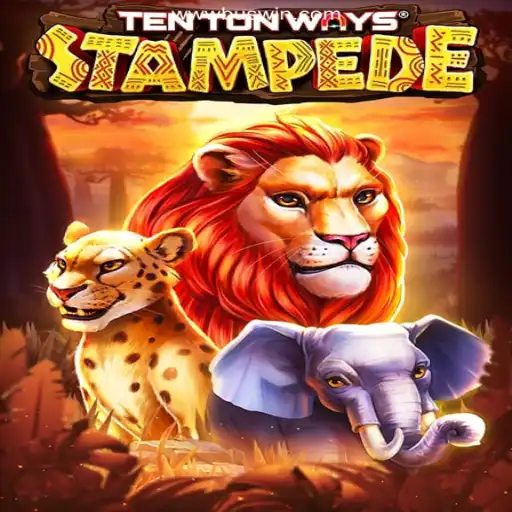 Discover the Thrilling World of TenTonWaysStampede on BUSWIN.COM